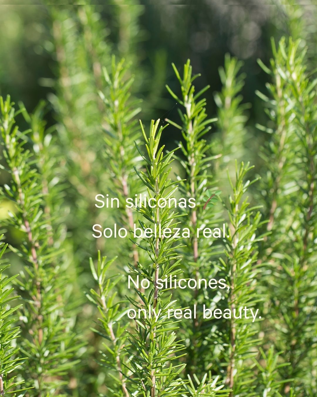 rosemary real beauty no silicones